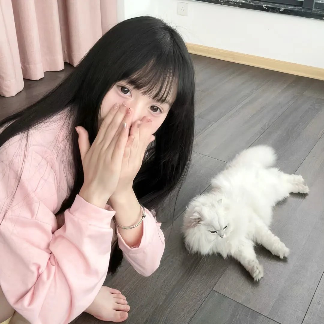 猫咪情缘