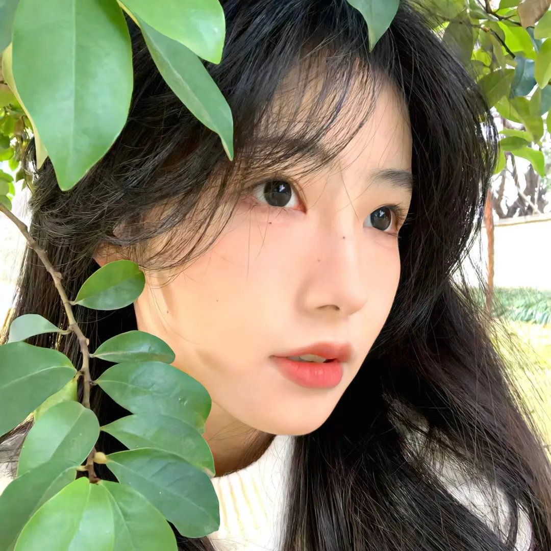 伞中情